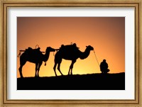 Framed Camel Caravan Silhouette at Dawn, Silk Road, China