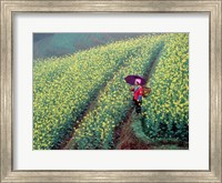 Framed Chinese Woman Walking in Field of Rapeseed near Ping' an Village, Li River, China