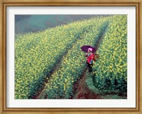 Framed Chinese Woman Walking in Field of Rapeseed near Ping' an Village, Li River, China