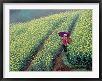 Framed Chinese Woman Walking in Field of Rapeseed near Ping' an Village, Li River, China