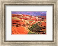 Framed China, Yunnan, Tilled Red Laterite, Agriculture