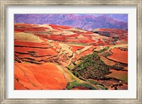 Framed China, Yunnan, Tilled Red Laterite, Agriculture