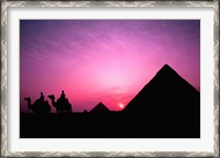 Framed Colorful Sunset Silhouetting Men and Camels at the Great Pyramids of Giza, Egypt