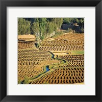 Framed Afghanistan, Bamian Valley, Farmland and irrigation