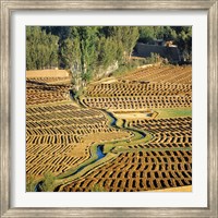 Framed Afghanistan, Bamian Valley, Farmland and irrigation
