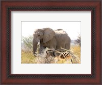 Framed African Elephant and Zebra at Namutoni Resort, Namibia
