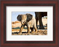 Framed Baby African Elephant in Mud, Namibia