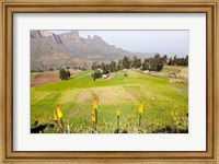 Framed Amiwalka, Semien Mountains National Park, Ethiopia