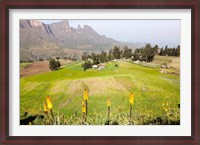 Framed Amiwalka, Semien Mountains National Park, Ethiopia