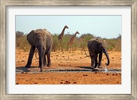 Framed Elephants and giraffes, Etosha, Namibia