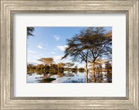 Framed Flooded shoreline, Lake Naivasha, Crescent Island Game Park, Kenya