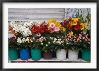 Framed Flower Market, Port Louis, Mauritius