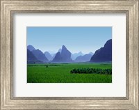 Framed Farmland with the famous limestone mountains of Guilin, Guangxi Province, China
