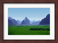 Framed Farmland with the famous limestone mountains of Guilin, Guangxi Province, China