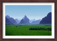 Framed Farmland with the famous limestone mountains of Guilin, Guangxi Province, China