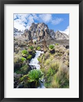 Framed Central Mount Kenya National Park, Kenya