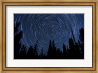 Framed Star trails and a meteor above pine trees in Lassen Volcanic National Park