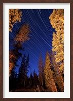 Framed Star trails above campfire lit pine trees in Lassen Volcanic National Park