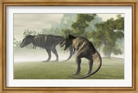 Framed Two Tyrannosaurus Rex rest in the early morning light before the days hunt