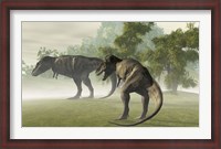 Framed Two Tyrannosaurus Rex rest in the early morning light before the days hunt
