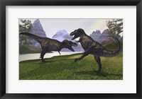 Framed Two Tyrannosaurus Rex dinosaurs fight for the right of a territory