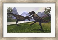 Framed Two Tyrannosaurus Rex dinosaurs fight for the right of a territory