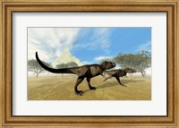 Framed Two Tyrannosaurus Rex dinosaurs are on the hunt for prey