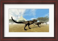 Framed Two Tyrannosaurus Rex dinosaurs are on the hunt for prey