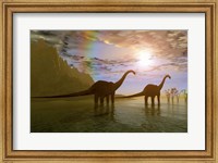 Framed Two Diplodocus dinosaurs wade through shallow water to eat some vegetation