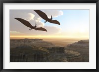 Framed Two Pterodactyl flying dinosaurs soar above a beautiful canyon