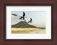 Framed Two Microraptor dinosaurs fly over a wetland marsh in prehistoric times