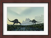 Framed Spinosaurus dinosaurs drink from a marsh area in prehistoric times