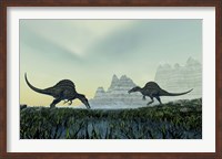 Framed Spinosaurus dinosaurs drink from a marsh area in prehistoric times