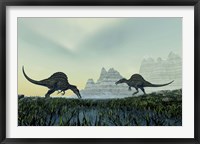 Framed Spinosaurus dinosaurs drink from a marsh area in prehistoric times