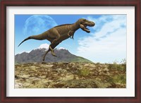 Framed Tyrannosaurus Rex dinosaur walks through his territory