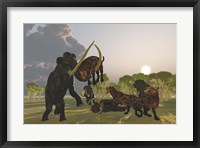 Framed pack of Saber Tooth Cats attack a small Woolly Mammoth