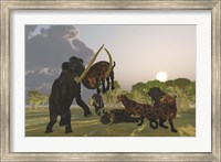 Framed pack of Saber Tooth Cats attack a small Woolly Mammoth