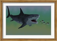 Framed Several Tuna fish try to escape from a huge Megalodon shark