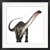 Framed Apatosaurus dinosaur was a herbivore of the Jurassic Era