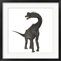 Framed Brachiosaurus dinosaur