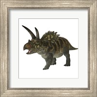 Framed Coahuilaceratops dinosaur