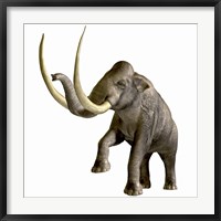 The Columbian Mammoth Framed Print