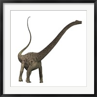 Framed Diplodocus dinosaur