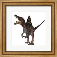 Framed Spinosaurus dinosaur