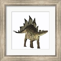 Framed Stegosaurus dinosaur