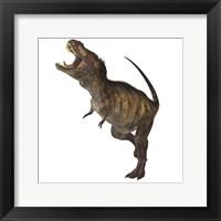 Framed Tyrannosaurus Rex