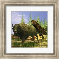 Framed Saber-Tooth cat pounces onto a frightened Buffalo