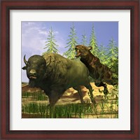 Framed Saber-Tooth cat pounces onto a frightened Buffalo