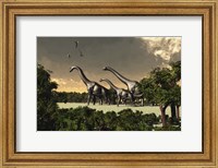 Framed Brachiosaurus dinosaurs walk through a forested area