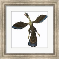 Framed Archaeopteryx, known as one of the earliest prehistoric birds
